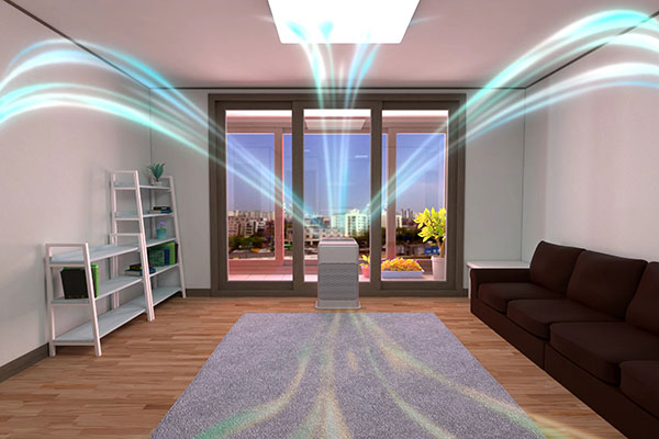Air Purifier System Installation
